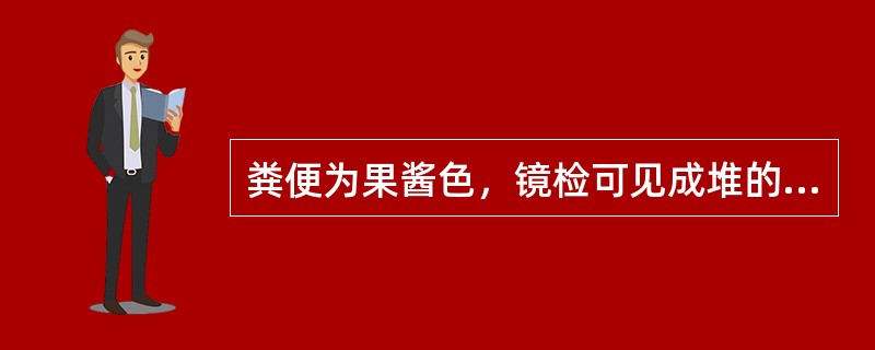 粪便为果酱色，镜检可见成堆的红细胞、少量白细胞，应注意查找