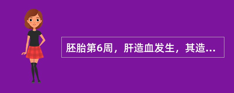胚胎第6周，肝造血发生，其造血干细胞主要来源于