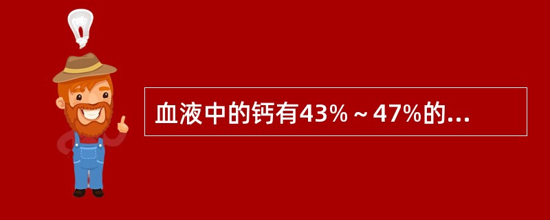 血液中的钙有43%～47%的钙与蛋白质结合，其中最主要与哪种蛋白质结合