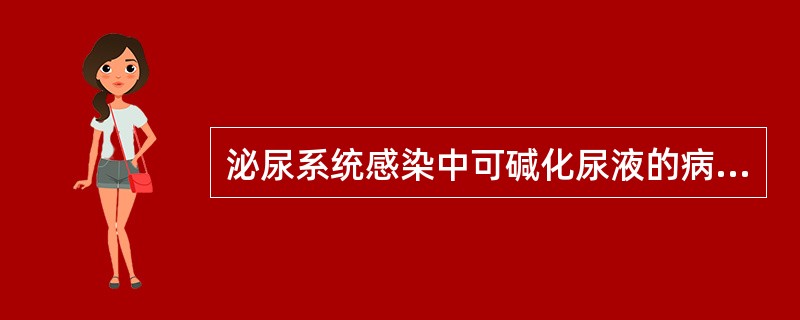 泌尿系统感染中可碱化尿液的病原菌为