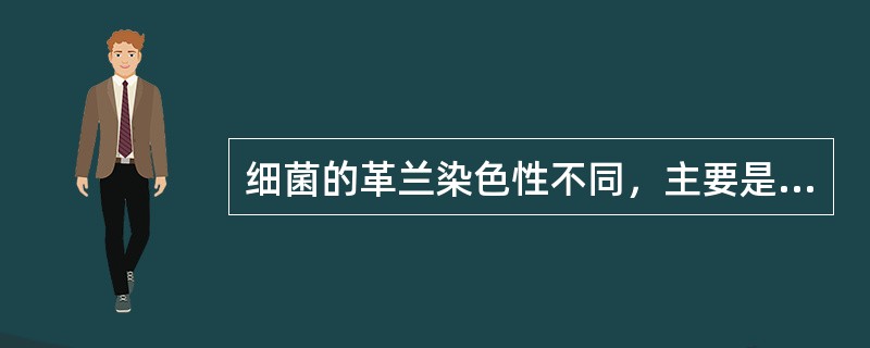 细菌的革兰染色性不同，主要是因为