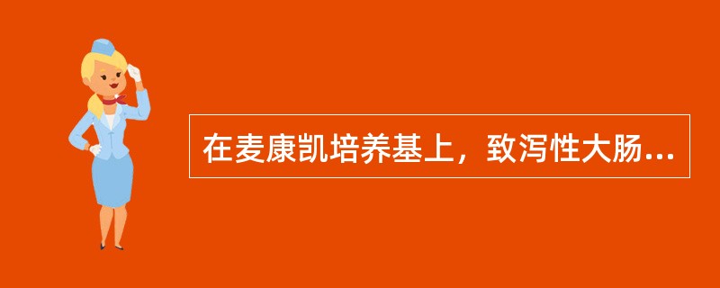 在麦康凯培养基上，致泻性大肠埃希菌落呈现（）