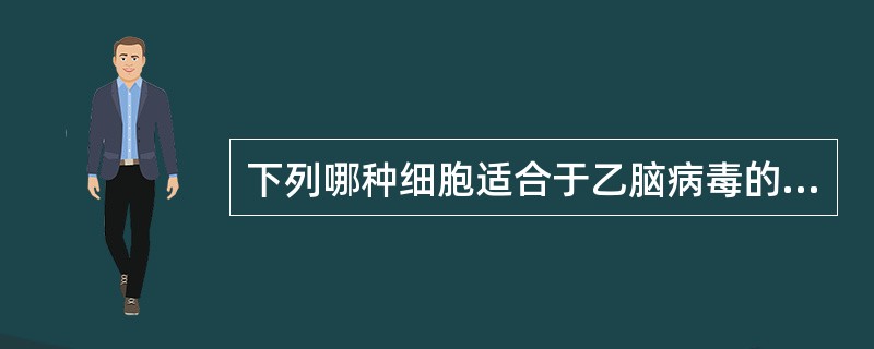 下列哪种细胞适合于乙脑病毒的分离和培养（）