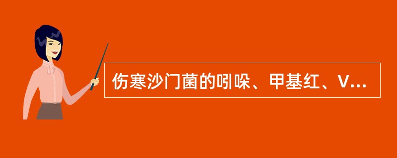 伤寒沙门菌的吲哚、甲基红、VP和枸橼酸盐试验结果为（）