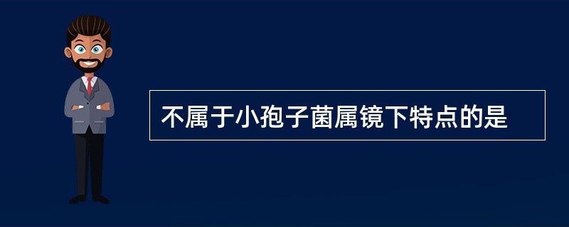 不属于小孢子菌属镜下特点的是