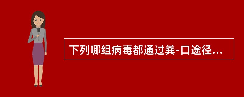 下列哪组病毒都通过粪-口途径传播