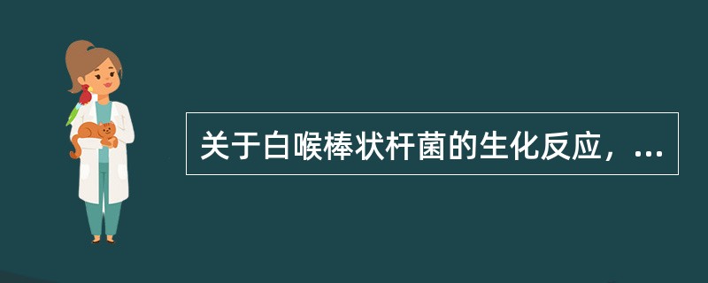 关于白喉棒状杆菌的生化反应，叙述正确的是