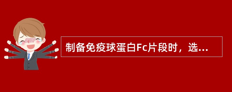 制备免疫球蛋白Fc片段时，选用的酶为