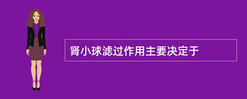 肾小球滤过作用主要决定于