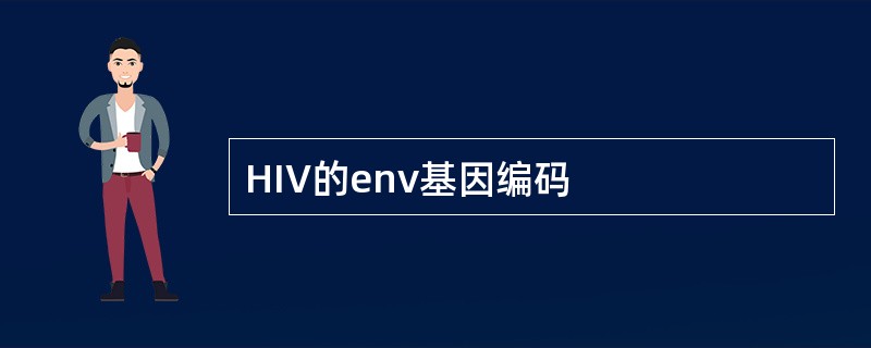 HIV的env基因编码