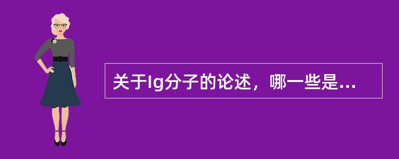 关于Ig分子的论述，哪一些是正确的()