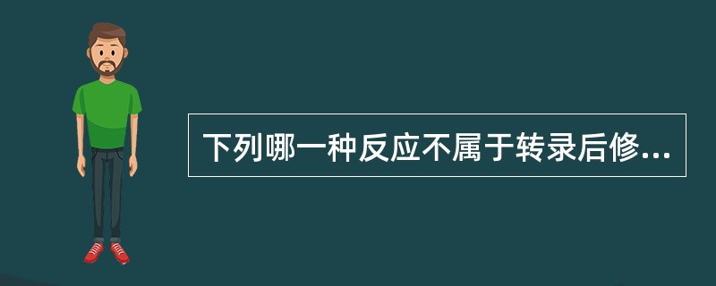 下列哪一种反应不属于转录后修饰()