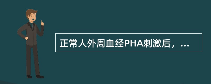 正常人外周血经PHA刺激后，其T细胞转化率是