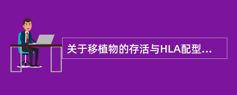 关于移植物的存活与HLA配型的关系，不正确的是