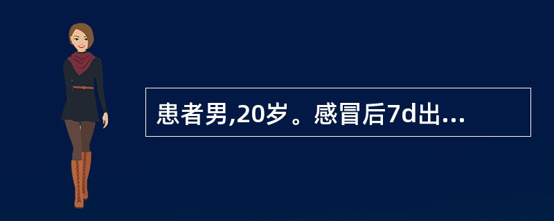 患者男,20岁。感冒后7d出现颜面及双下肢水肿，尿少。查体：血压160/100mmHg，尿蛋白（＋＋），尿沉渣：红细胞（＋＋），SCr130μmol/L。2周后少尿，BUN28mmol/L，SCr62