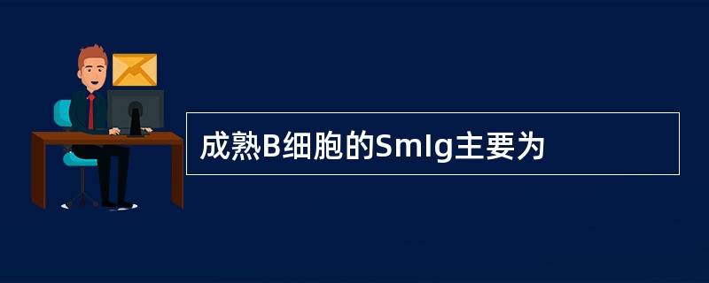 成熟B细胞的SmIg主要为