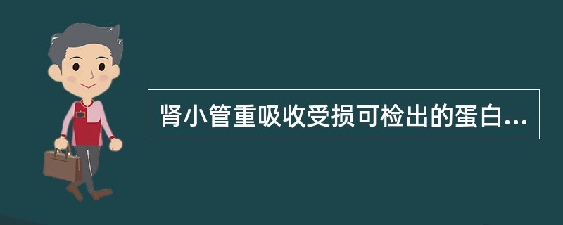 肾小管重吸收受损可检出的蛋白质不包括