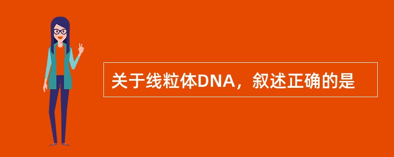 关于线粒体DNA，叙述正确的是