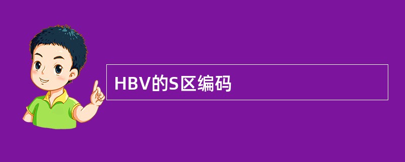 HBV的S区编码