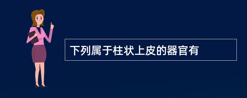 下列属于柱状上皮的器官有