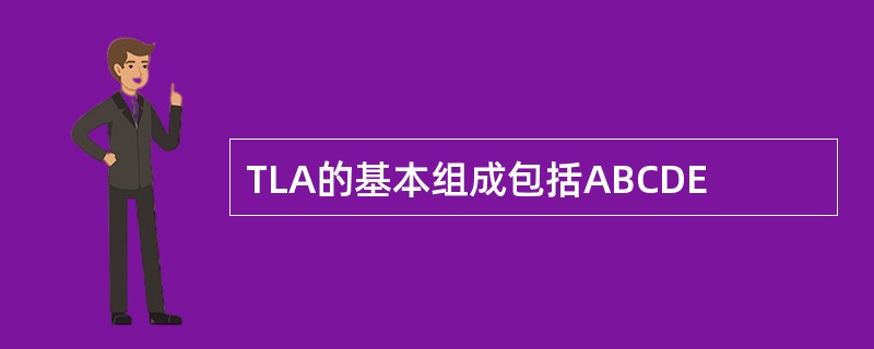 TLA的基本组成包括ABCDE