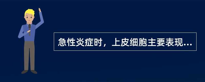 急性炎症时，上皮细胞主要表现为（）。