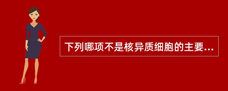 下列哪项不是核异质细胞的主要表现