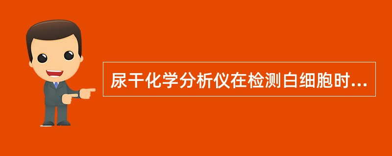 尿干化学分析仪在检测白细胞时出现镜检法(-)，分析仪法(+)，两者不符的原因是