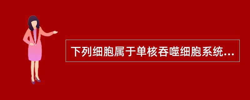 下列细胞属于单核吞噬细胞系统的是