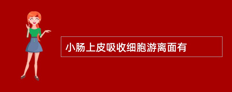 小肠上皮吸收细胞游离面有