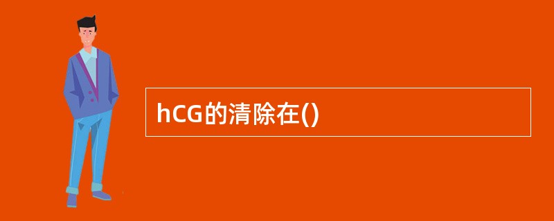 hCG的清除在()