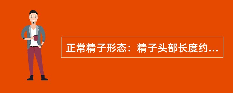 正常精子形态：精子头部长度约为宽度的