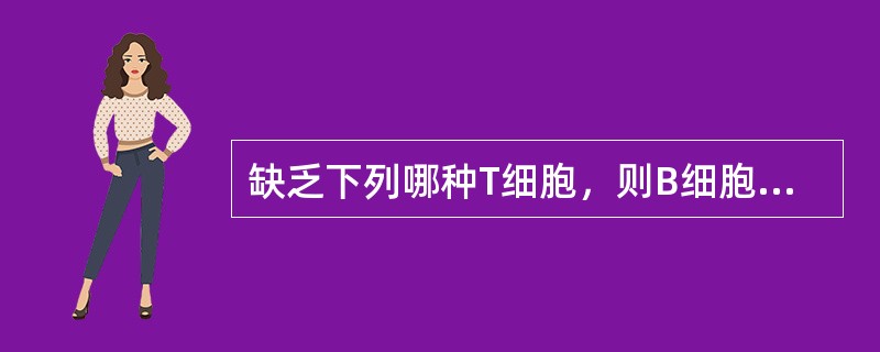缺乏下列哪种T细胞，则B细胞不能产生抗体或产生低水平的抗体（）