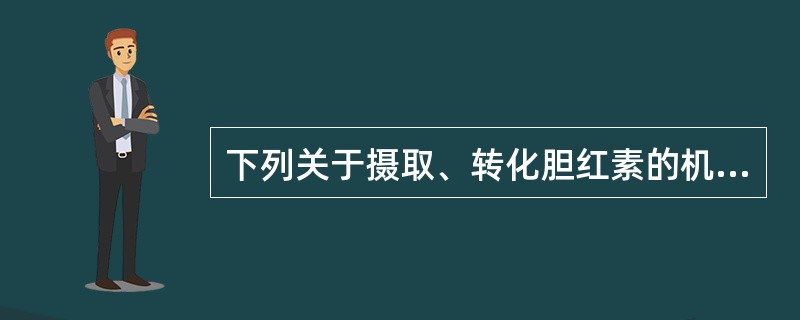 下列关于摄取、转化胆红素的机制中哪一项是错误的（）