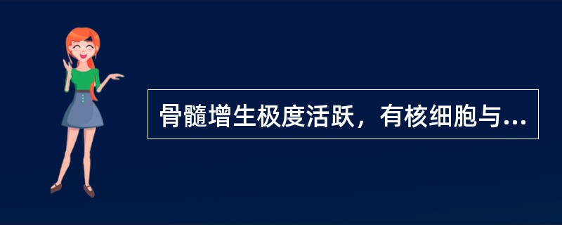 骨髓增生极度活跃，有核细胞与成熟红细胞的比例为（）