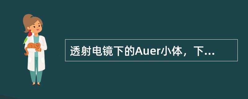 透射电镜下的Auer小体，下列叙述不正确的是（）