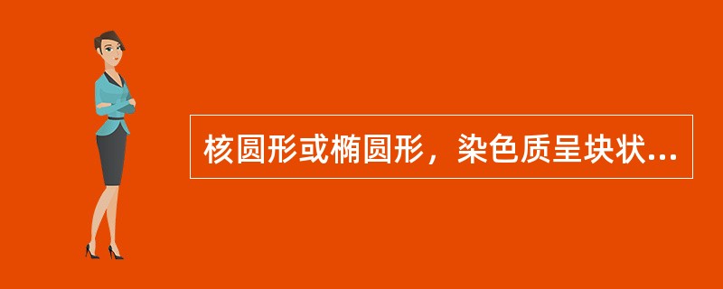 核圆形或椭圆形，染色质呈块状，核仁消失，胞浆嗜多色性，符合以下哪种细胞的特点（）