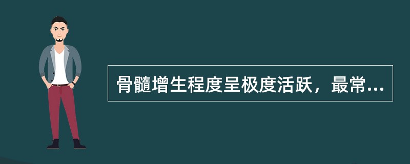 骨髓增生程度呈极度活跃，最常出现于