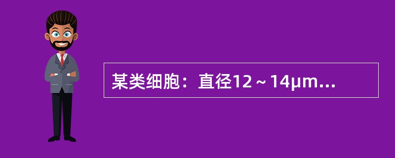 某类细胞：直径12～14μm，胞质丰富，浅蓝色，无颗粒，核／浆比率低；核圆形或卵圆形；核染质较原始淋巴细胞为粗，但又比成熟淋巴细胞细，为颗粒状或块状；有大而显著且多为单个的核仁。血象和骨髓象中以这种细