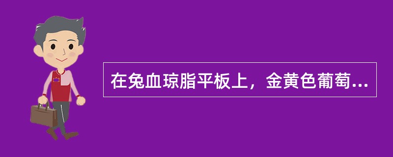 在兔血琼脂平板上，金黄色葡萄球菌可促进流感嗜血杆菌的生长，是因为金黄色葡萄球菌