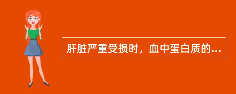 肝脏严重受损时，血中蛋白质的主要改变是