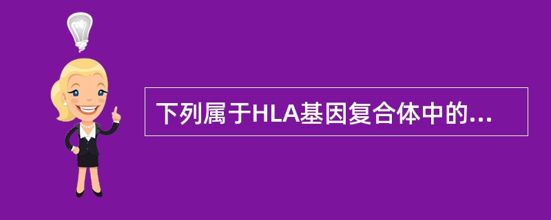 下列属于HLA基因复合体中的经典Ⅰ类基因有()