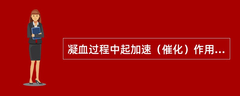 凝血过程中起加速（催化）作用的因子是