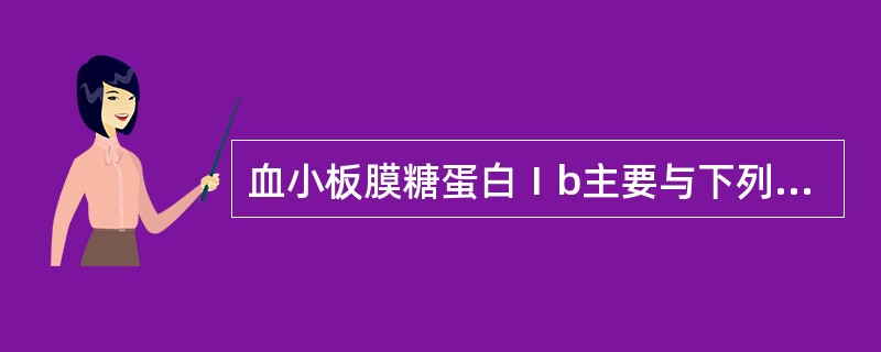 血小板膜糖蛋白Ⅰb主要与下列哪种血小板功能有关