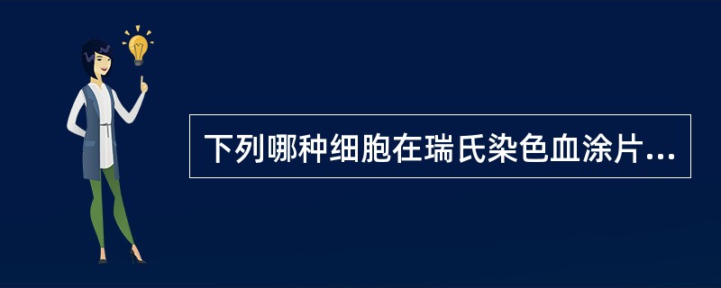 下列哪种细胞在瑞氏染色血涂片中不能明确识别