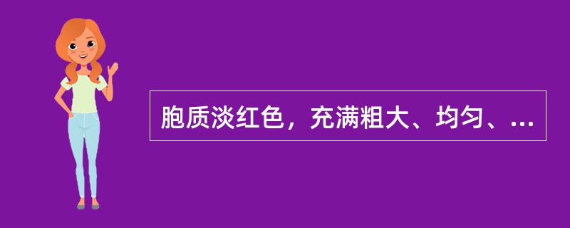 胞质淡红色，充满粗大、均匀、排列紧密的橘红色颗粒，此种细胞是