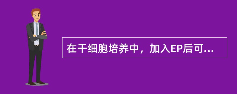 在干细胞培养中，加入EP后可形成下列何种集落（）