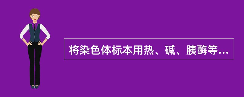 将染色体标本用热、碱、胰酶等预先处理，再用Giemsa染色，显示出（）