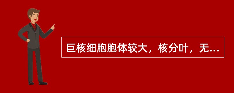 巨核细胞胞体较大，核分叶，无核仁，浆内充满紫红色颗粒，周边无血小板形成，符合下列哪种巨核细胞的特点