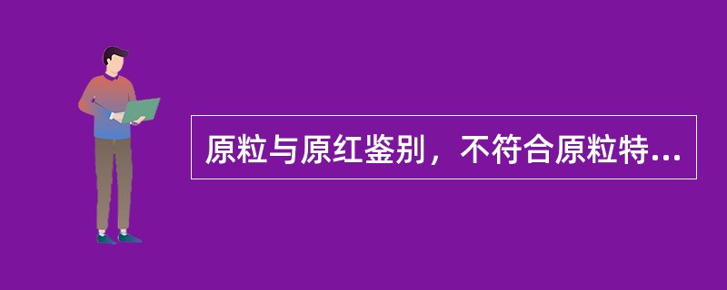 原粒与原红鉴别，不符合原粒特征的是